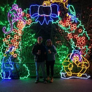 Meet your Posher, Clara